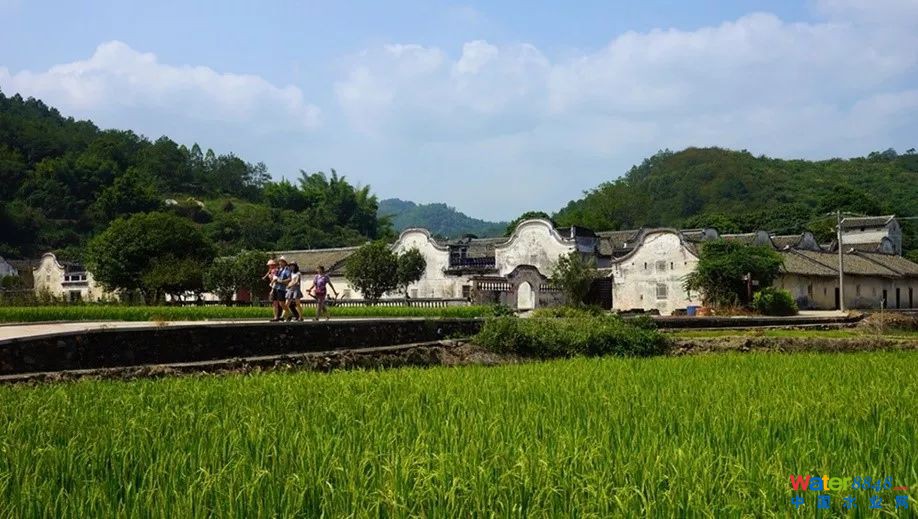 l(xing)Ⱦļg(sh)(jng)(j)